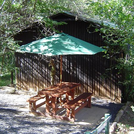 Forest Creek Lodge&Spa Dullstroom Exterior foto