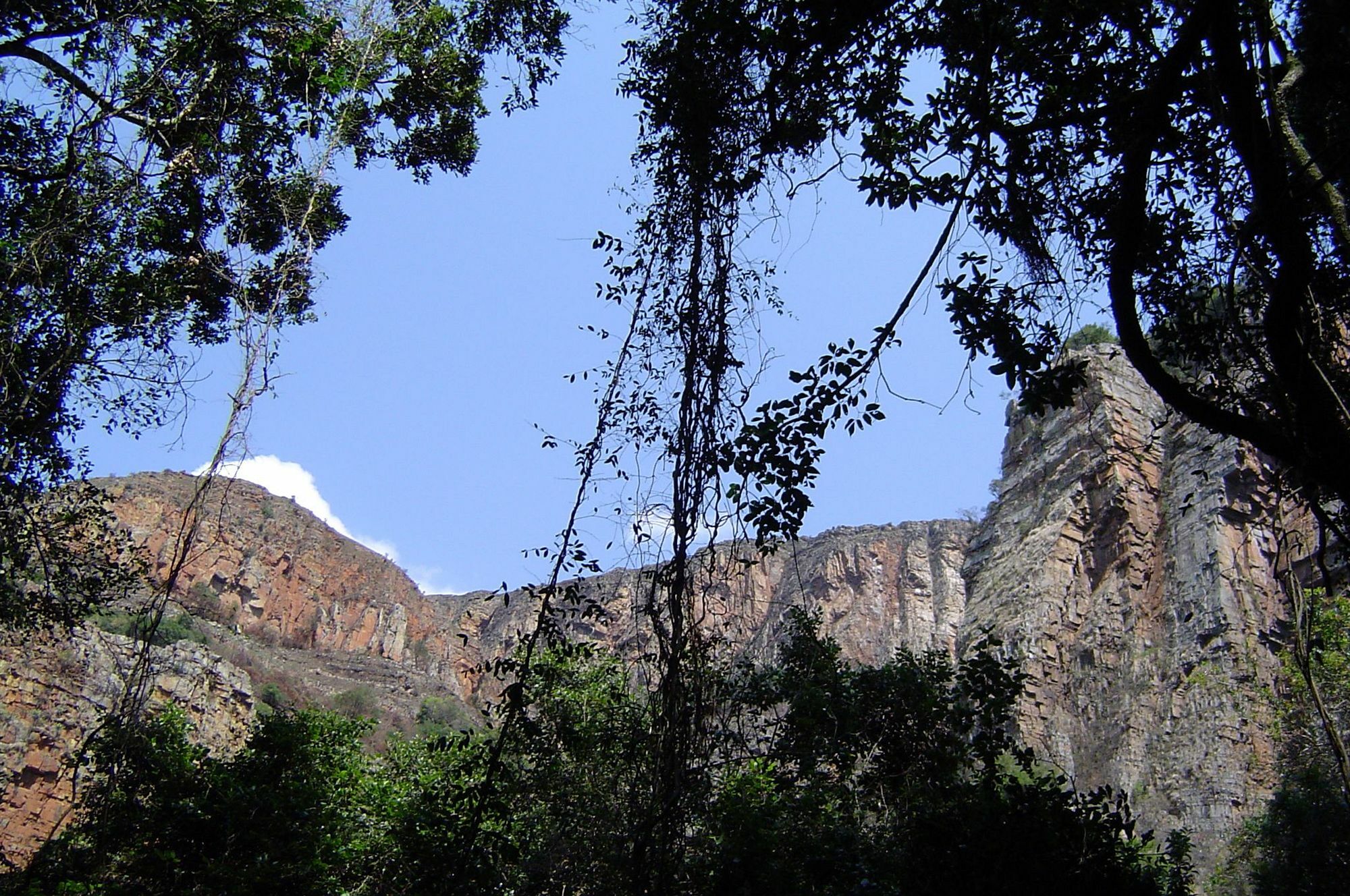 Forest Creek Lodge&Spa Dullstroom Exterior foto
