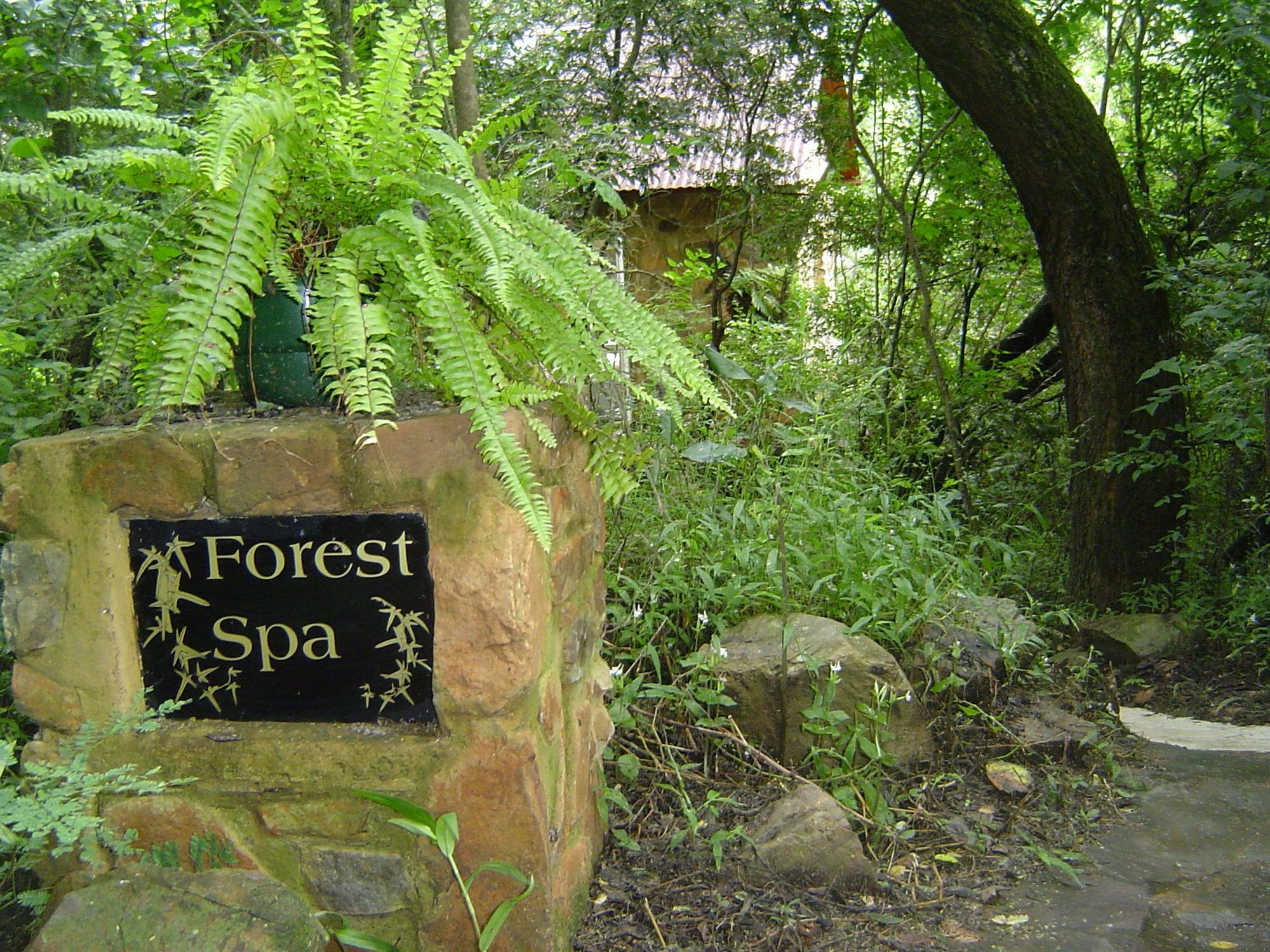 Forest Creek Lodge&Spa Dullstroom Exterior foto